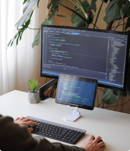 Developer workstation used for custom business software